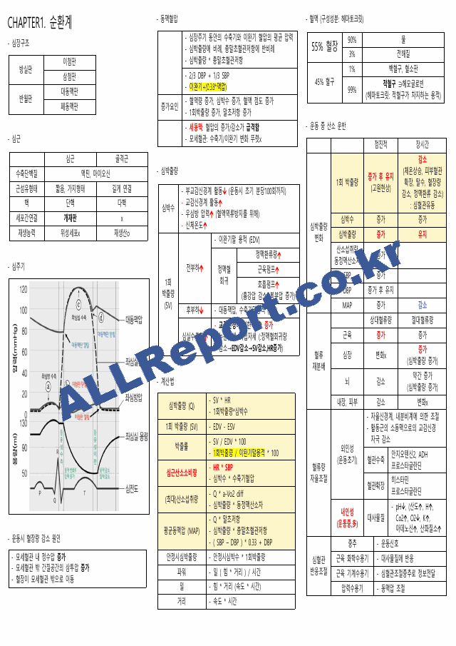 생리학 요약본(시험관련) 카셉운동사 (1 페이지)